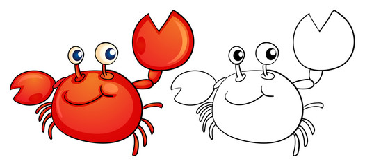 Animal outline for little crab © GraphicsRF