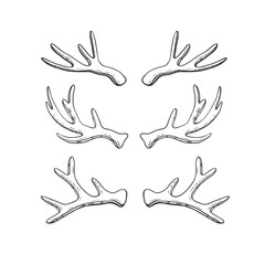 Set of hand drawn deer horns isolated on white. Vector illustration in rustic style.