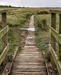 old path westerhever