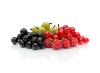 Ripe berries of red and black currant and gooseberries on a white background