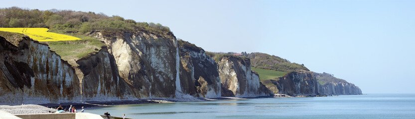 Falaises &agrave; Pourville-sur-mer, en Pays de Caux (Seine-Maritime, France)