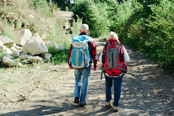 Fototapeta na wymiar Senior backpackers walking along road by forest