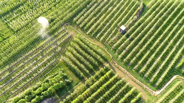 Aerial 4k - Trattamento dei meleti con fitofarmaci