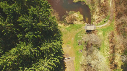 Top view of a wooden bridge at the Eutersee. The Eutersee is a little lake in south Hessia, Germany.
