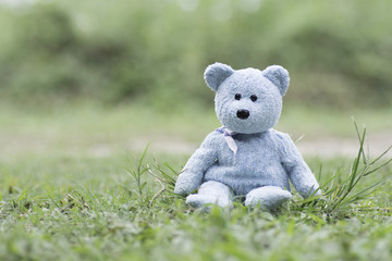 Blue Teddy bear  sitting on the grass