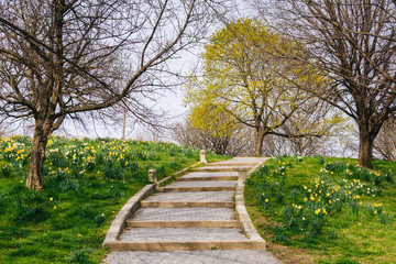 Flowers and stairs at Patterson Park, in Baltimore, Maryland.