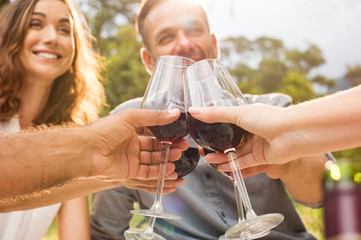 Friends raising toast