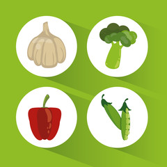 set organic healthy food vector illustration eps 10