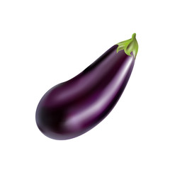 Eggplant photo realistic made with mesh gradient.