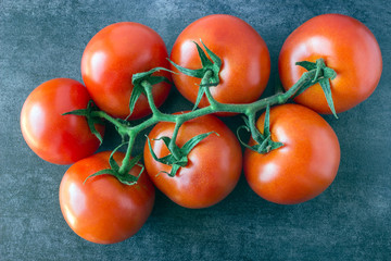 Twig with bright fresh tomatoes. Harvest.