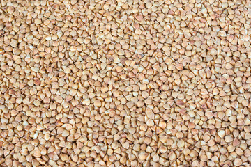 Buckwheat grains background