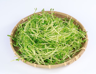 Bean sprouts in a bamboo basket