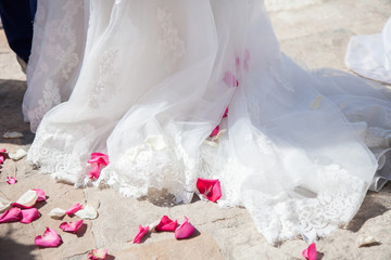 Bridal white classic wedding dress with lace train, fluffy skirt and pink rose petals. Bride stands...