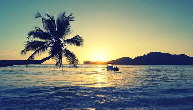 romantischer Sonnenuntergang mit Palmen am Meer