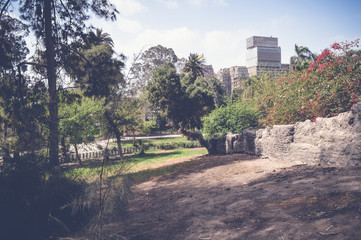 cairo, egypt, march 11, 2017: view of road inside fish garden