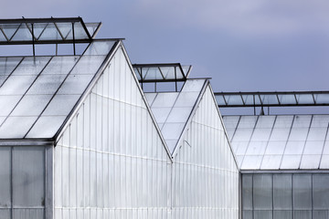 Whitened greenhouses