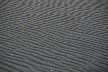 風紋の砂浜