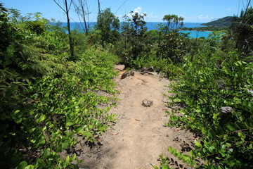 Footpath, Nature Trail, Mt. Plaisir to Anse Lazio, Praslin, Seychelles, Indian Ocean, Africa 