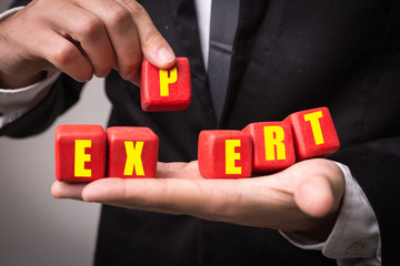 Expert