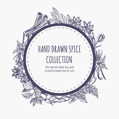 Hand drawn spice collection round banner or frame design. Kitchen dcorative element vector illustration