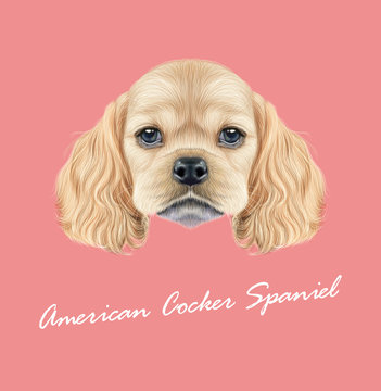 Vector Illustrated portrait of American Cocker Spaniel puppy