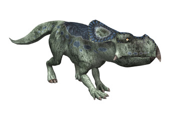 3D Rendering Dinosaur Protoceratops on White