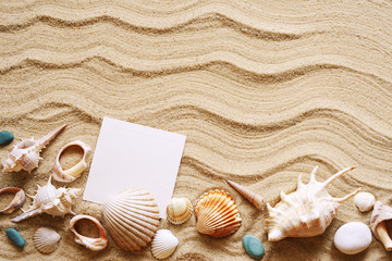 Fototapeta na wymiar Seashells and empty white card on sand. Sea summer vacation background with space for the text