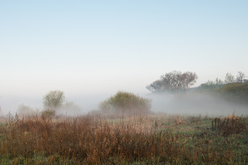 Obraz na płótnie Canvas Mgły na brzegu Warty