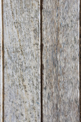 texture dirty wood background