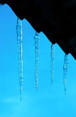 beautiful icicles shine against blue sky