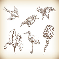 Set of images of flowers and birds. Sketch. Can be used in the design of web sites, postcards, etc.