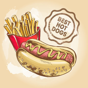 Hot dog with mustard and french fries. Hand drawn vector Illustration. Template for menu design and fast food restaurant.