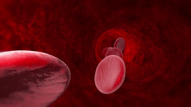 Blood cell (veins, arteries, capillaries). Available in high-resolution and several sizes to fit the needs of your project. 3D animation.