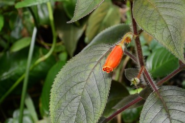 botanicka zahrada praha