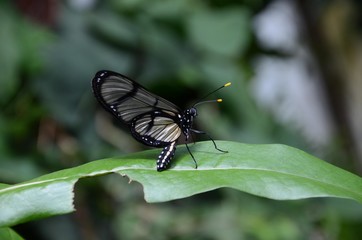 botanicka zahrada praha
