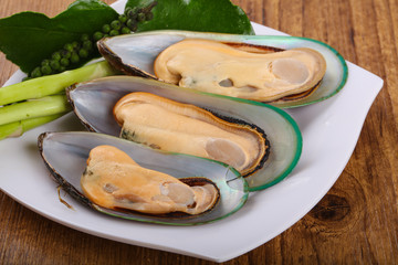 New Zealand Mussels