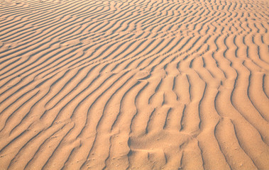 Sand dune ripples