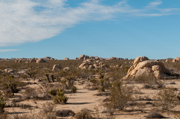 Fototapeta na wymiar Desert vista view in southern California in the Coachella Valley