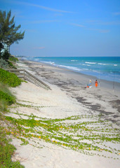 Morning beach activity