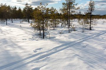 Ski track at a snowy bog in spring