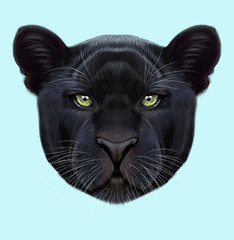 Illustrated portrait of Black panther