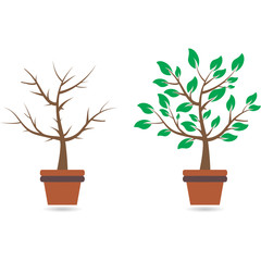 Good and bad tree, vector illustration