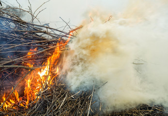 spring fire, burning debris, fire and smoke