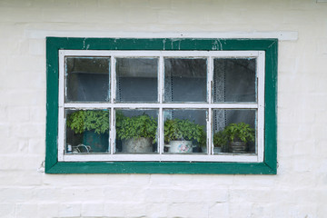 authentic old wooden box with seedlings on the windowsill