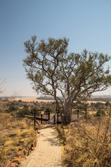 Lookout Point in Mapungubwe National Park, South Africa, Africa