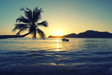 tropischer Sonnenuntergang am Meer