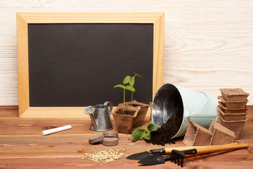 Gardening tools and seedlings.