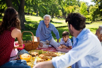 Multi generation family enjoying the picnic in park