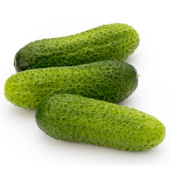 The first spring ecologically cucumbers.
