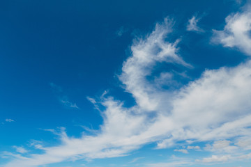 Naklejka na ściany i meble Velvet white clouds in the blue sky.